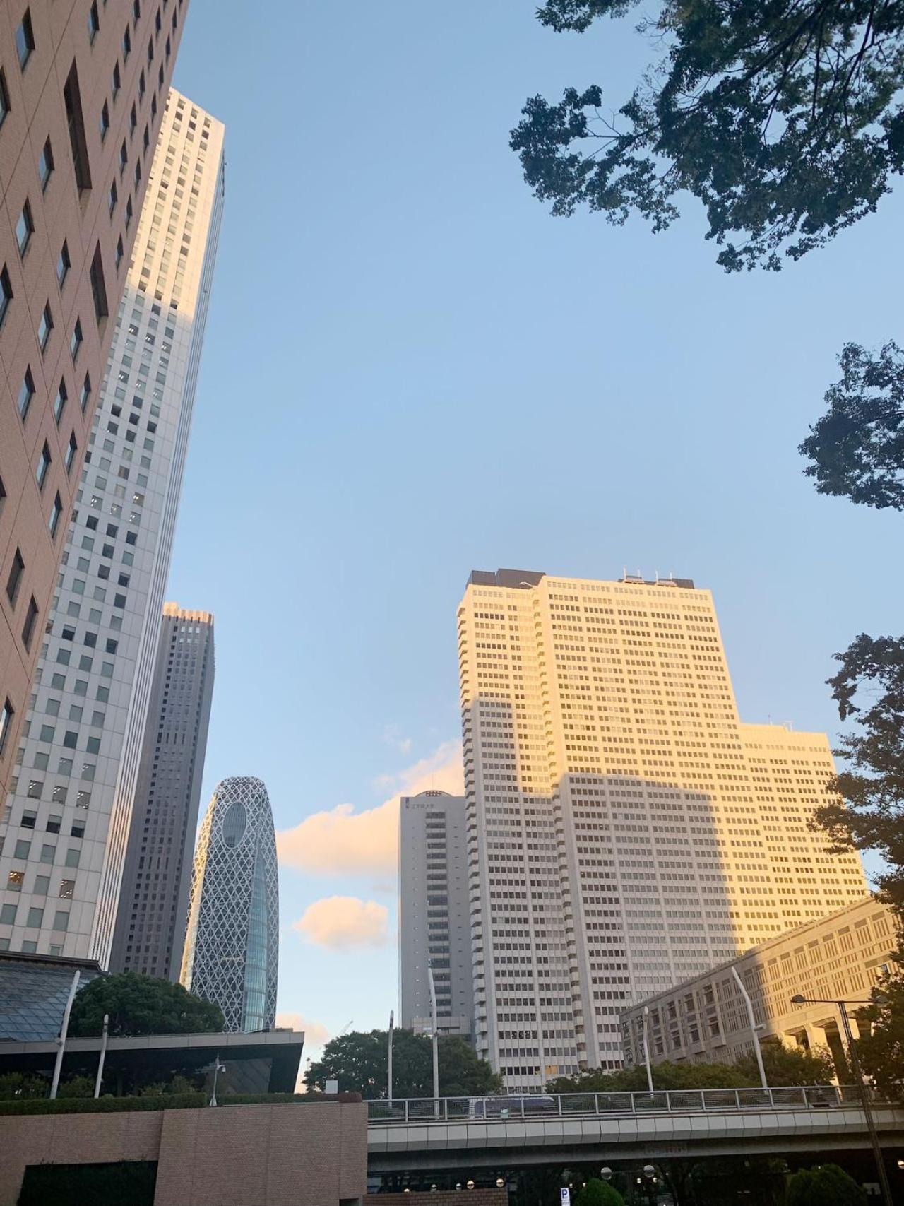Apartment Shinjuku 新宿徒步圈!西新宿!都厅!新宿中央公园!2分钟步行到地铁!高速无限制网络!精致公寓autolock!104 Präfektur Tokio
